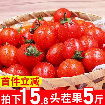 圣女果千禧小番茄新鲜西红柿千禧长果5斤农家时令蔬菜包邮水果