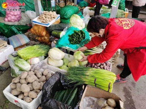 上百种蔬菜供应乌鲁木齐市场 价格稳中有降