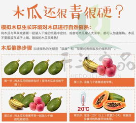 广西红心木瓜5斤 8斤 1个 单果400 1500g新鲜水果