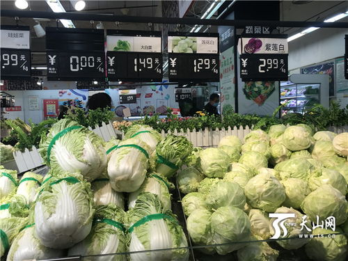地产蔬菜大量上市 新疆市场供应充足价格平稳